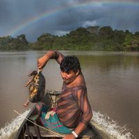 亞馬遜部落打贏官司，拯救雨林