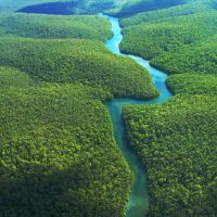 亞馬遜雨林濫伐速度過去九個月加速兩成