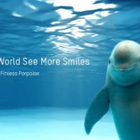 海康威視幫助WWF和OPF保護瀕危的長江江豚