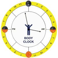 如何透過簡單的睡眠習慣調整改變生理時鐘