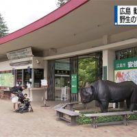 廣島熊出沒請注意 1公尺黑熊闖入動物公園