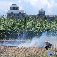 維護空氣品質　台東環保局籲農友勿露天燃燒稻草　