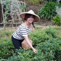 木柵輕旅行．茶筍體驗趣一日農夫生態體驗
