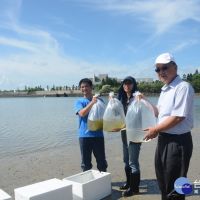 澎湖放流1.5萬沙蟹苗　充實漁業資源
