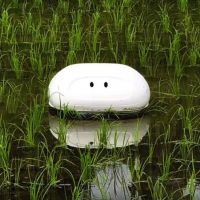 智慧耕農！日本研發「鴨子機器人」 助農民清除稻田雜草