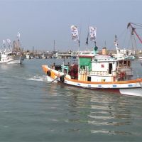 3年努力重回國際！歐盟解除台灣漁業黃牌