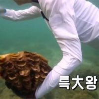 赴泰國錄節目潛水抓巨蚌 韓女星恐被判刑