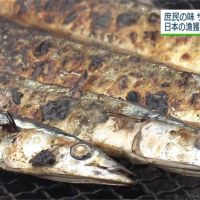 秋刀魚減少怪台灣、中國？日本提案限制捕撈