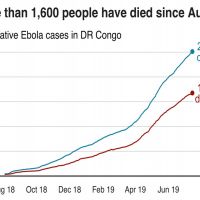 世衛組織把伊波拉列為全球公衛緊急事件