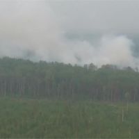 俄羅斯森林野火燒不停！動員軍隊協助滅火