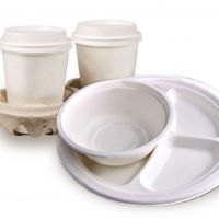 環保署籲免洗餐具回收歸類為廢紙容器
