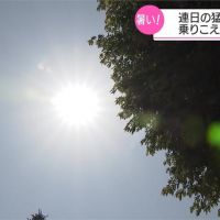 日本發高燒！愛知縣推「共涼」減少能源消耗
