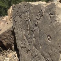 路邊落石藏有千萬年前化石！武陵師生單車環島意外發現
