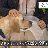 超萌「狗醫生」！日本只有3隻治療犬獲認證