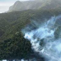 綠島森林火災範圍約28公頃 空勤支援空中滅火