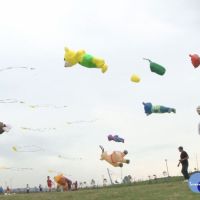 竹市國際風箏節　可愛動物翱翔天空