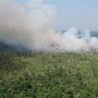 「亞馬遜野火環保組織做的」 巴西總統言論挨轟
