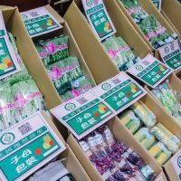 豪雨颱風蔬菜價漲　北市啟動穩定機制