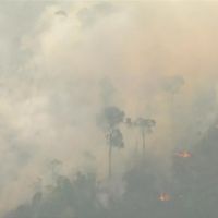 馬克宏擔憂「地球之肺」燃燒 巴西總統嗆法勿干預主權
