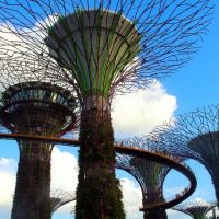 【新加坡自由行攻略】2019新加坡景點、行程安排推薦（三天兩夜、五天四夜、七天六夜）
