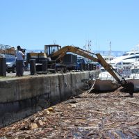 漂流木封漁港　台東對外航運明仍受影響