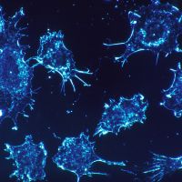 突破！長庚團隊破解藥物嚴重過敏之謎 找到特異T細胞治療抗癌