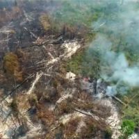 失控的地球之肺！亞馬遜雨林大火造成生態浩劫