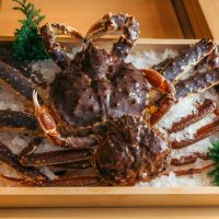 正統日本蟹料理與台灣人分享！比日本做得更有質感，擺盤器皿更為講究...