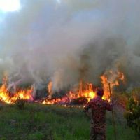 森林大火霾害 印尼：很多國都在燒森林