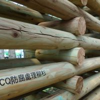 木頭也有QR code　國產材驗證制度11月正式上路