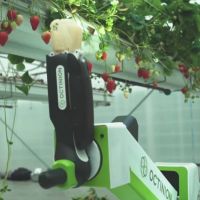 科技世代的耕種好幫手！機器人現身農田 能判斷成熟度、還能幫採草莓