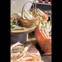 白玉蘿蔔產地直銷 客庄生活館打造無毒商品區