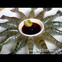 [美食達人Superp推薦]新竹本部活蝦之乒乓叫肥美海鮮吃很大｜開飯喇