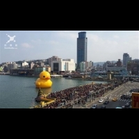 基隆小鴨人潮破150萬人次 傳攤商有意另製巨型鴨