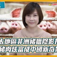 芝無不言／亞太地區非洲豬瘟陰影持續 用豬肉炫富成中國新奇景？