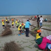 搶救布袋好美沙灘　公私協力打造海岸沙丘自然防護網