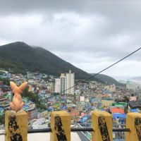 【趣吧】韓國釜山包車一日遊：天空步道、夜景！釜山景點10選推薦