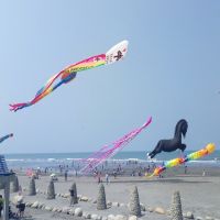 大安海風箏衝浪 各地好手來台競技