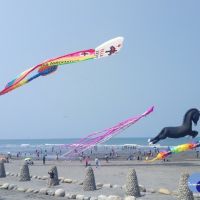 台中大安海風箏衝浪開跑　各地好手來台競技