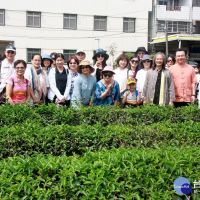 茶藝社學員實地到茶區參訪　瞭解南烏龍茶發展自名間鄉