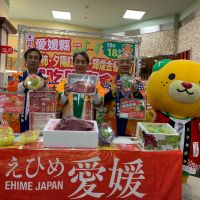 民間拼經濟 台灣香蕉超市系統銷日今年可達500噸