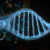 近九成的基因缺陷 都可用DNA工具修復