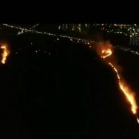 中市龍井產業道路雜草火災燒毀十公頃