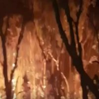 野火肆虐 澳洲新南威爾斯進入七天緊急狀態