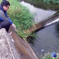 排放事業廢水污染河川　桃環保局稽查重罰元兇