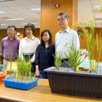 中研院研發種植水稻新技術 助解決糧食危機