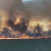 澳洲新南威爾斯野火延燒 氣溫高恐續惡化