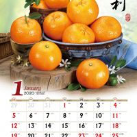 2020水果月曆 北區國稅局11/26兌換