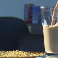 農委會行銷台灣大豆 推新口味飲品「豆乳紅茶」