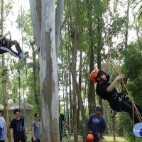 南華大學建景系創系20週年　學生攀樹體驗慶成年